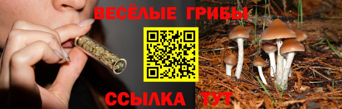 Псилоцибиновые грибы Magic Shrooms  купить наркотик  Малгобек  Вход с VPN 